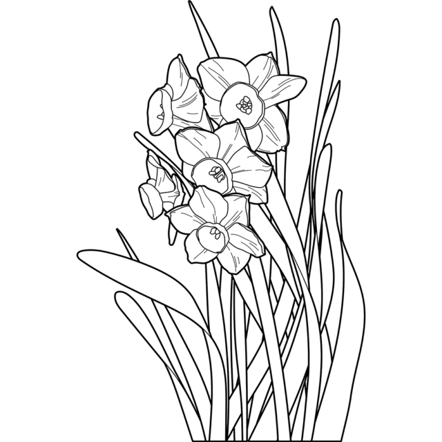 ヒマワリ | 植物の塗り絵 | ぬりえり