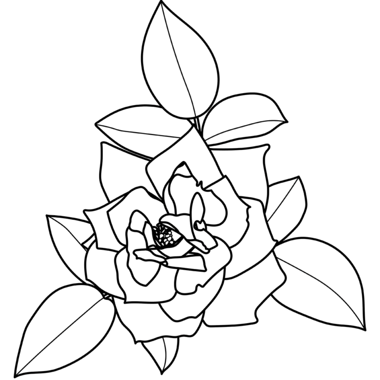 バラ03 | 植物の塗り絵 | ぬりえり