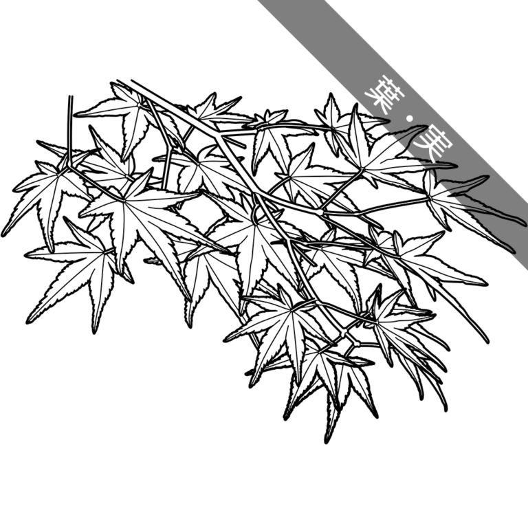 植物の塗り絵 | ぬりえり