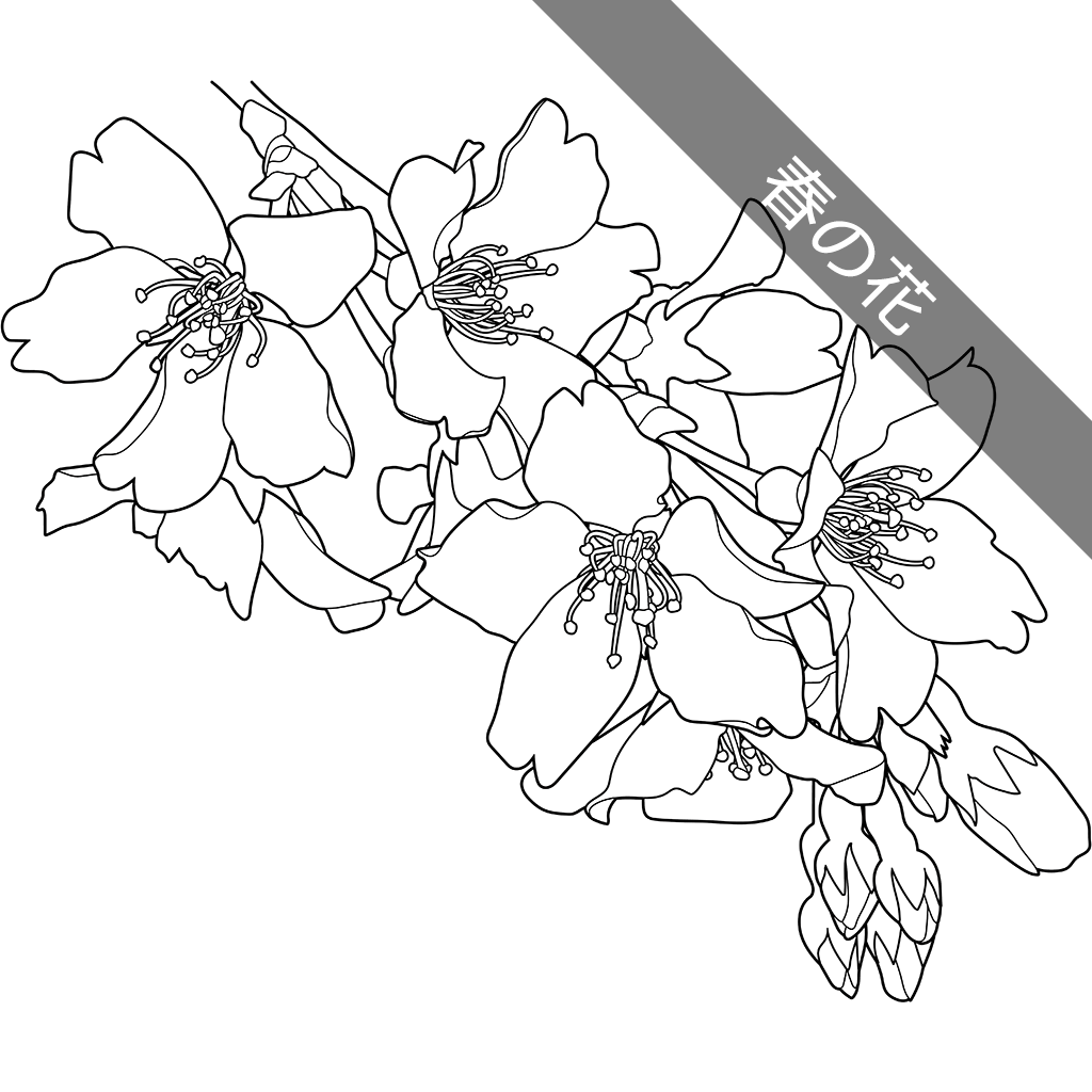 植物の塗り絵 | ぬりえり
