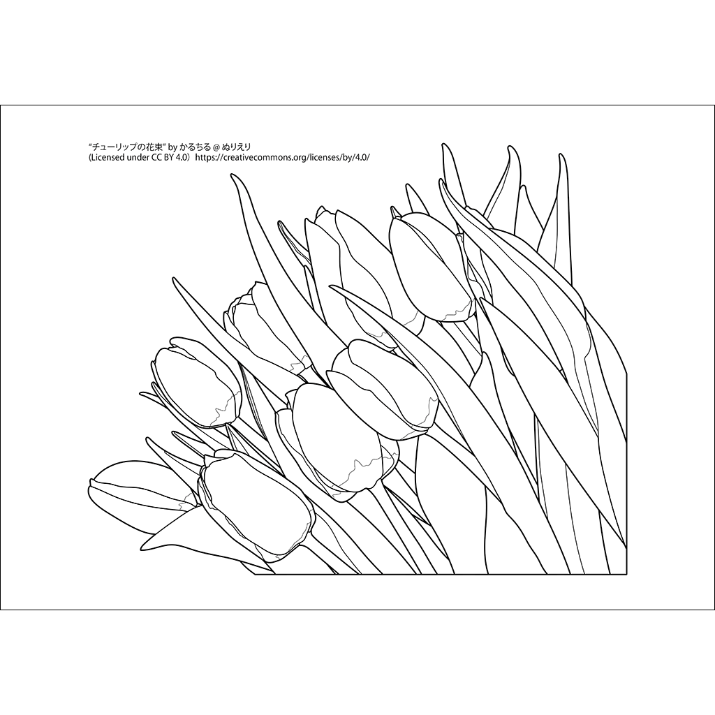 チューリップの花束：黒線タイプ