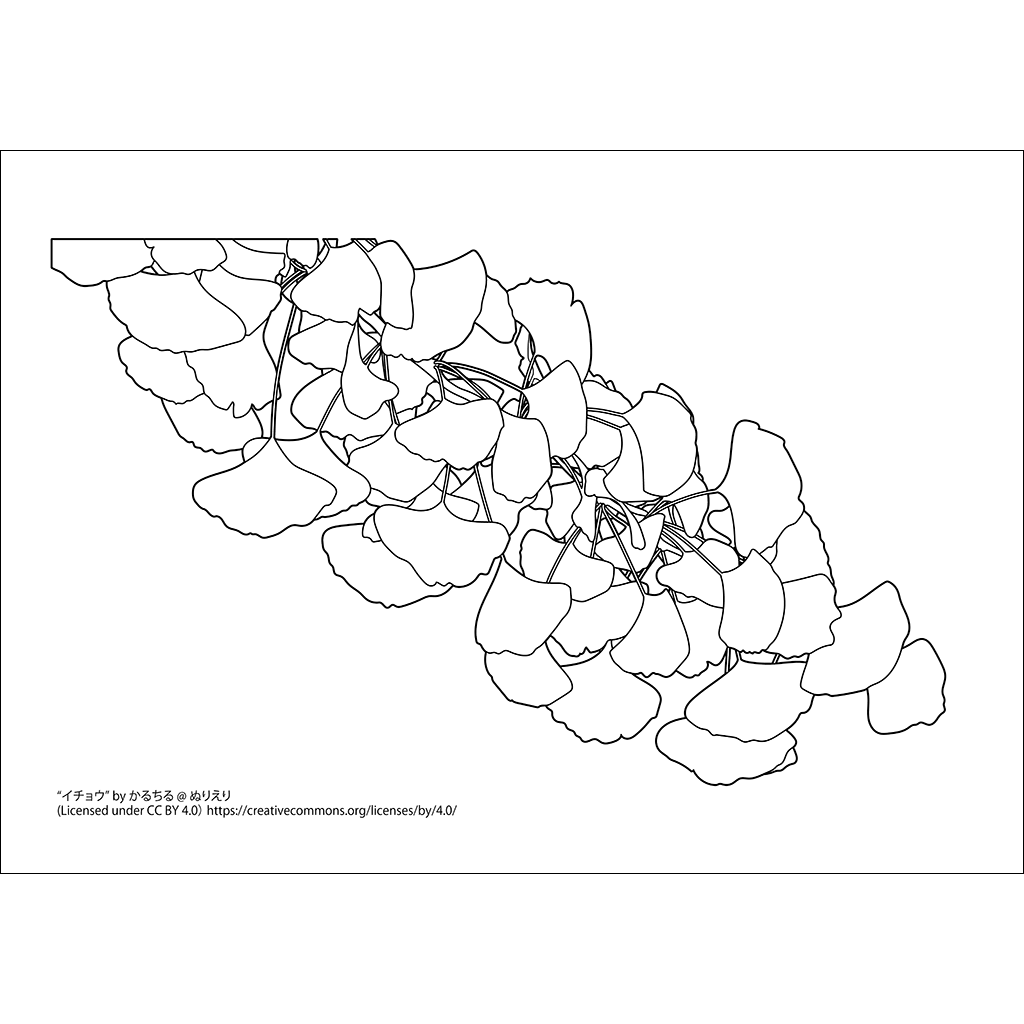 イチョウ：黒線タイプ